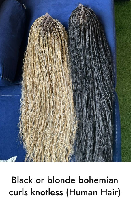 African Hand Braided Human Hair Wigs (Braids 2) Any Style